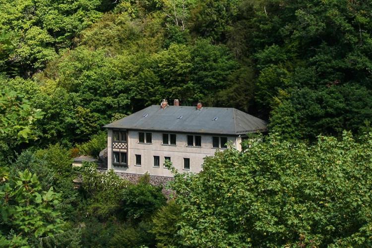 Haus Am Berg Bad Bertrich Exterior foto